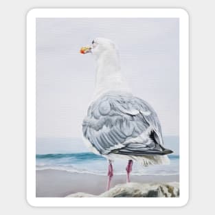 All I Survey - Western Gull beach painting Sticker